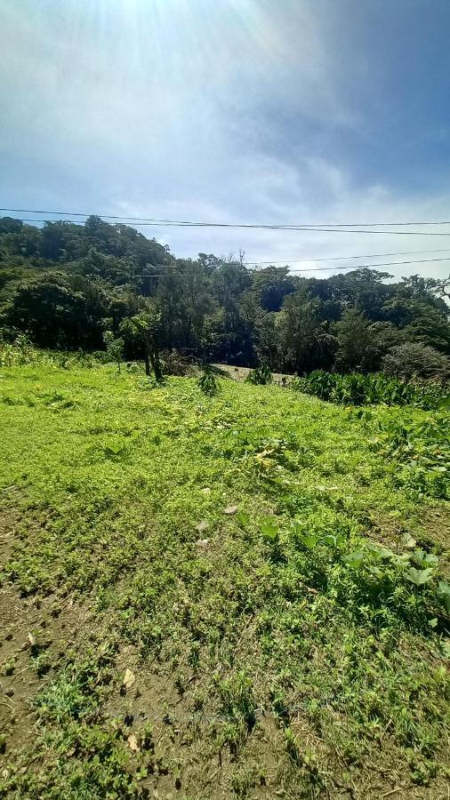 Finca Pantera Monteverde Exterior photo